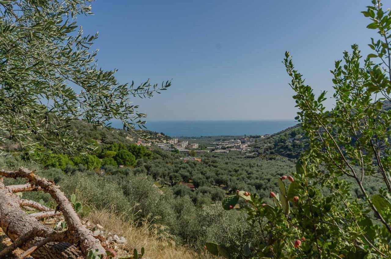 Agriturismo Madonna Incoronata Villa Mattinata Bagian luar foto