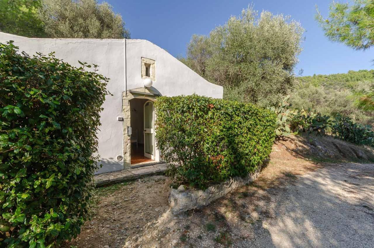 Agriturismo Madonna Incoronata Mattinata Bagian luar foto