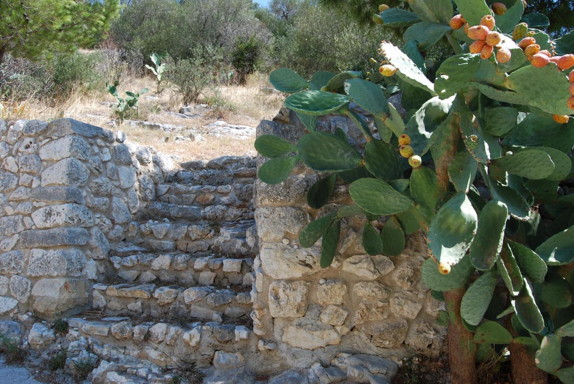 Agriturismo Madonna Incoronata Mattinata Bagian luar foto