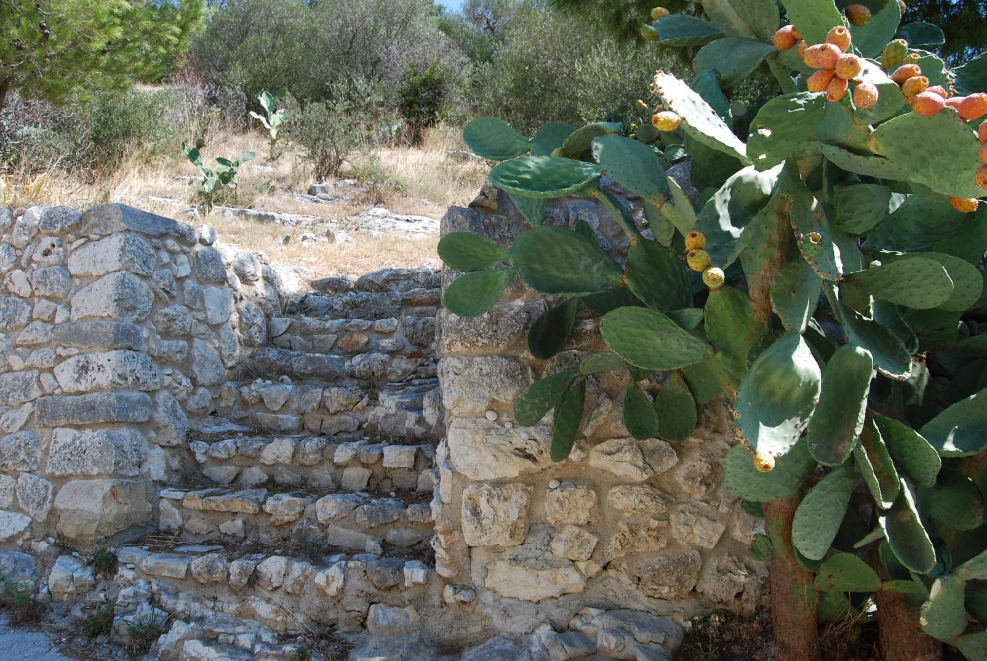 Agriturismo Madonna Incoronata Villa Mattinata Bagian luar foto